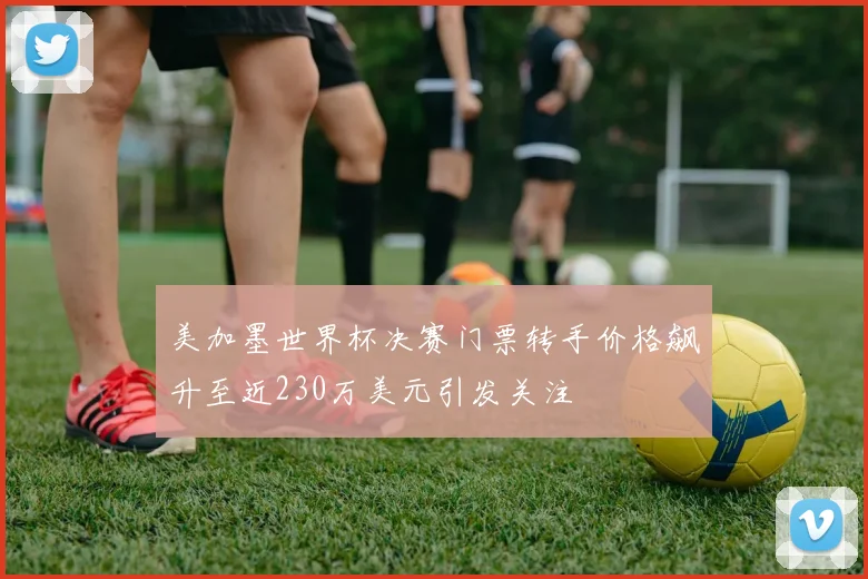 美加墨世界杯决赛门票转手价格飙升至近230万美元引发关注